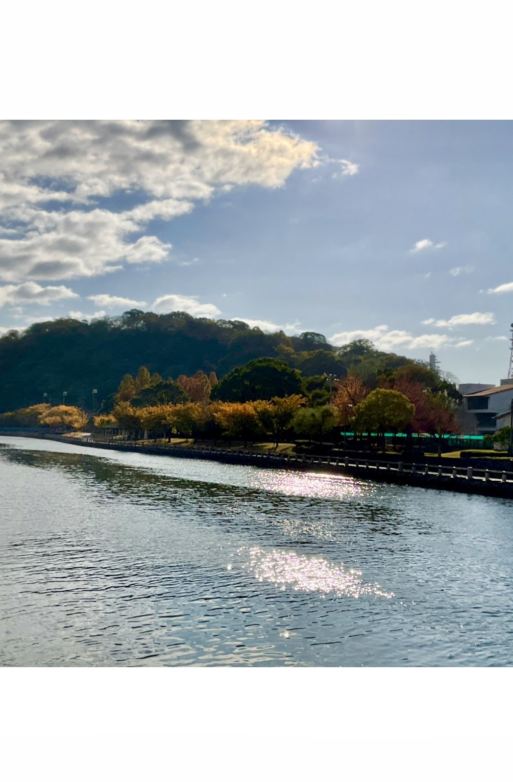 西の丸橋から見た　城山方面